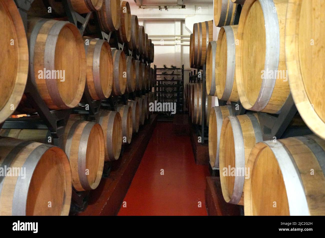 Neue Weinfässer im Lager, Shabo Winemaking Enterprise, Oblast Odessa, Ukraine Stockfoto