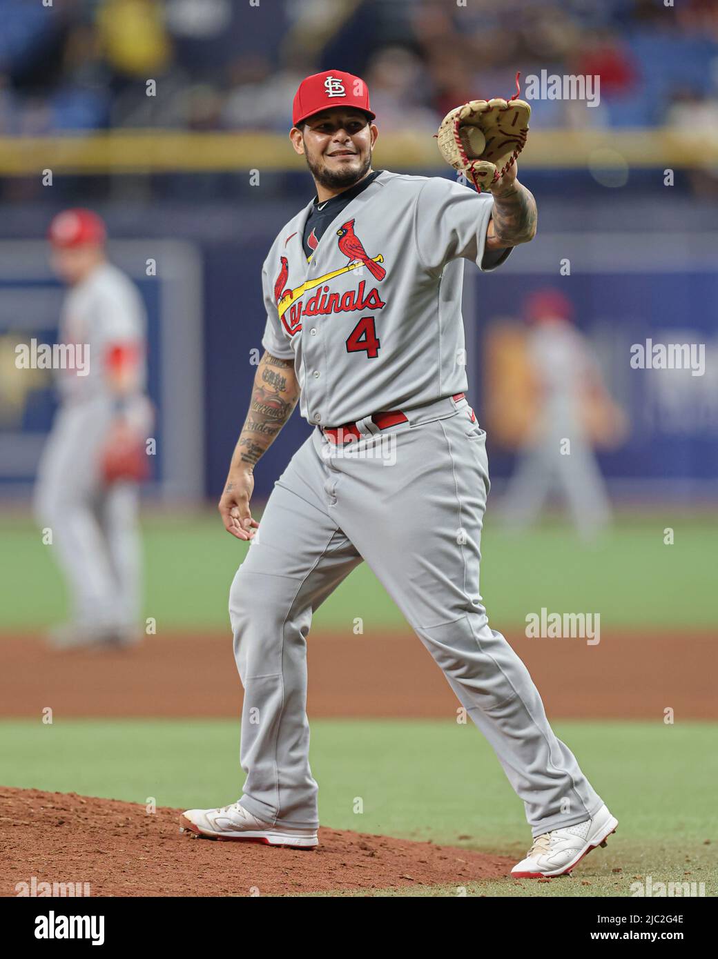 St. Petersburg, Florida. USA; St. Louis Cardinals Catcher Yadier Molina (4) lacht, nachdem er während eines ma einen Pitch im unteren Teil des achten Innings geliefert hatte Stockfoto
