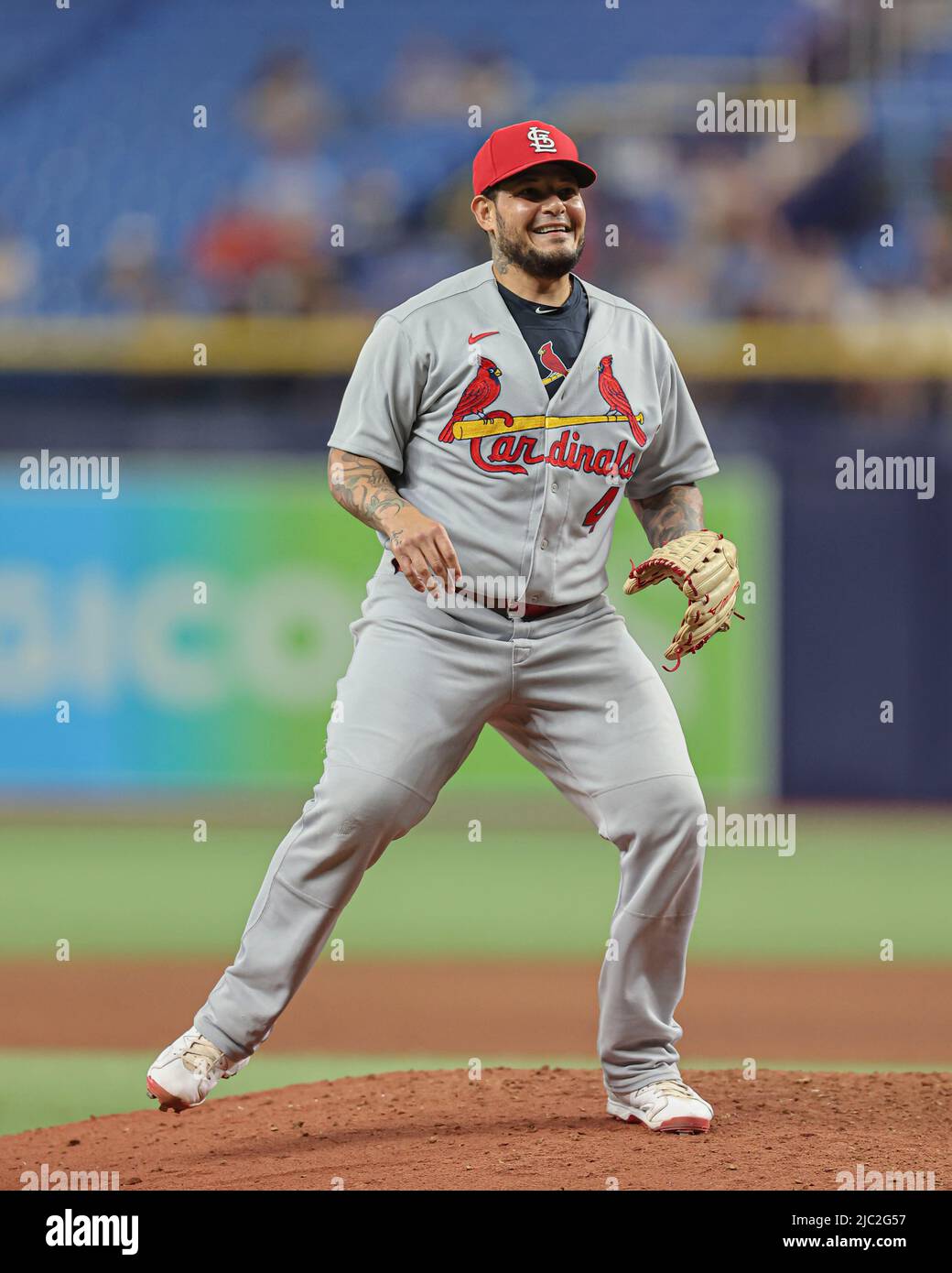 St. Petersburg, Florida. USA; St. Louis Cardinals Catcher Yadier Molina (4) lacht, nachdem er während eines ma einen Pitch im unteren Teil des achten Innings geliefert hatte Stockfoto