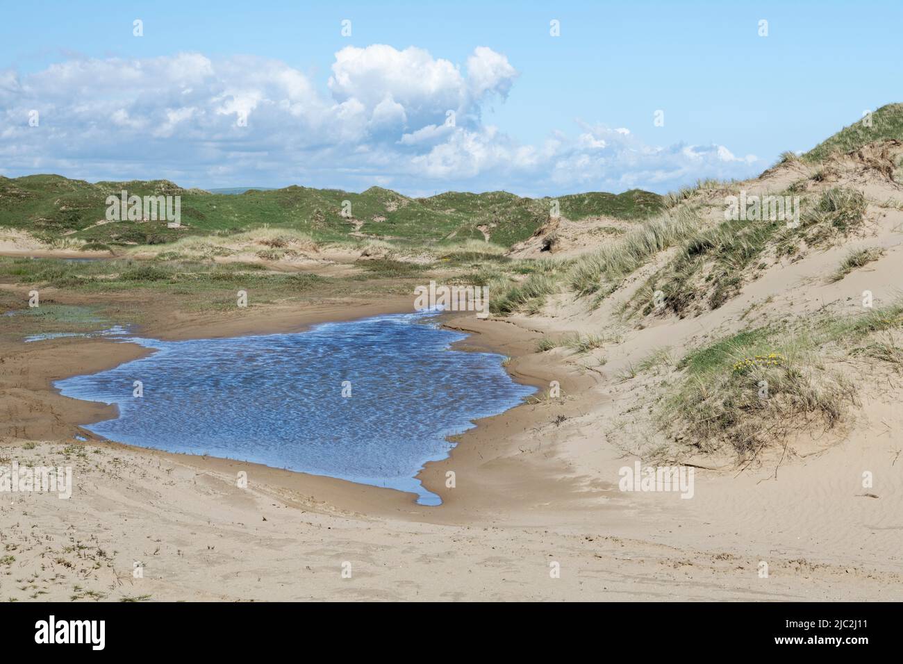 Küstensanddünen und überflutete Dünenlandschaften, Kenfig NNR, Glamorgan, Wales, Vereinigtes Königreich, Mai. Stockfoto
