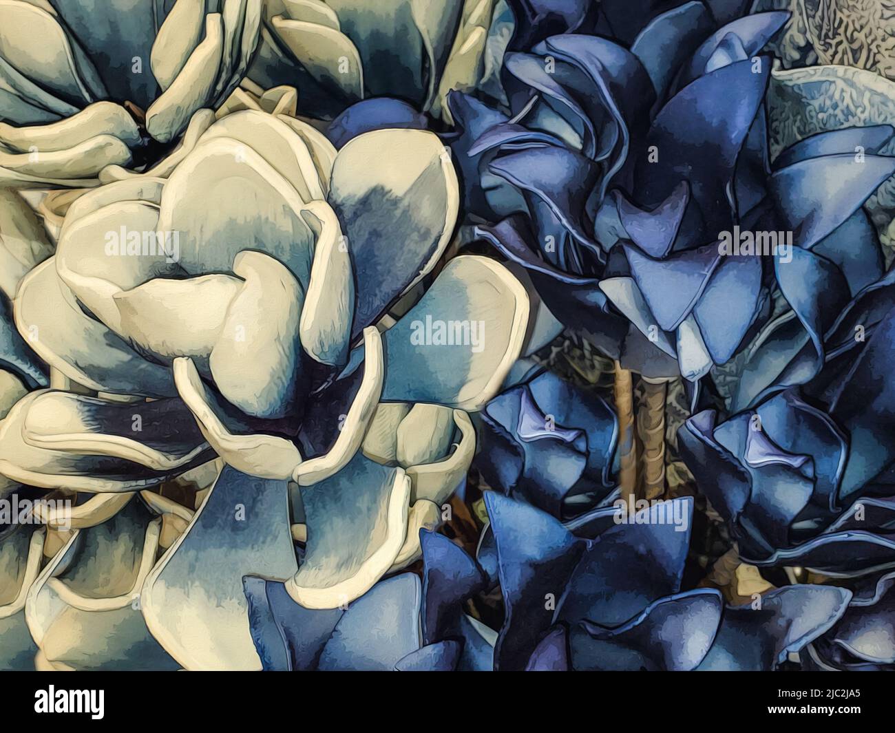 Hintergrund von kühnen und schönen Blumen in Creme und reichem Blau - Magnolienblüten im Vordergrund - stilisiert Stockfoto