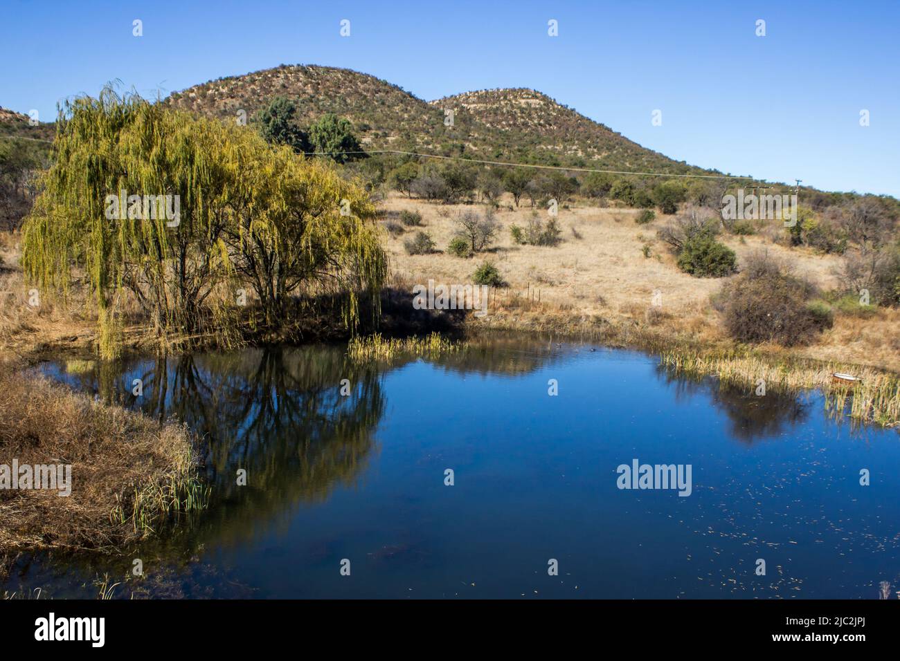 Ein kleiner Bauerndamm, an einem sonnigen Tag, zwischen den hohen Graten des Vredefort Dome, im ländlichen Südafrika Stockfoto
