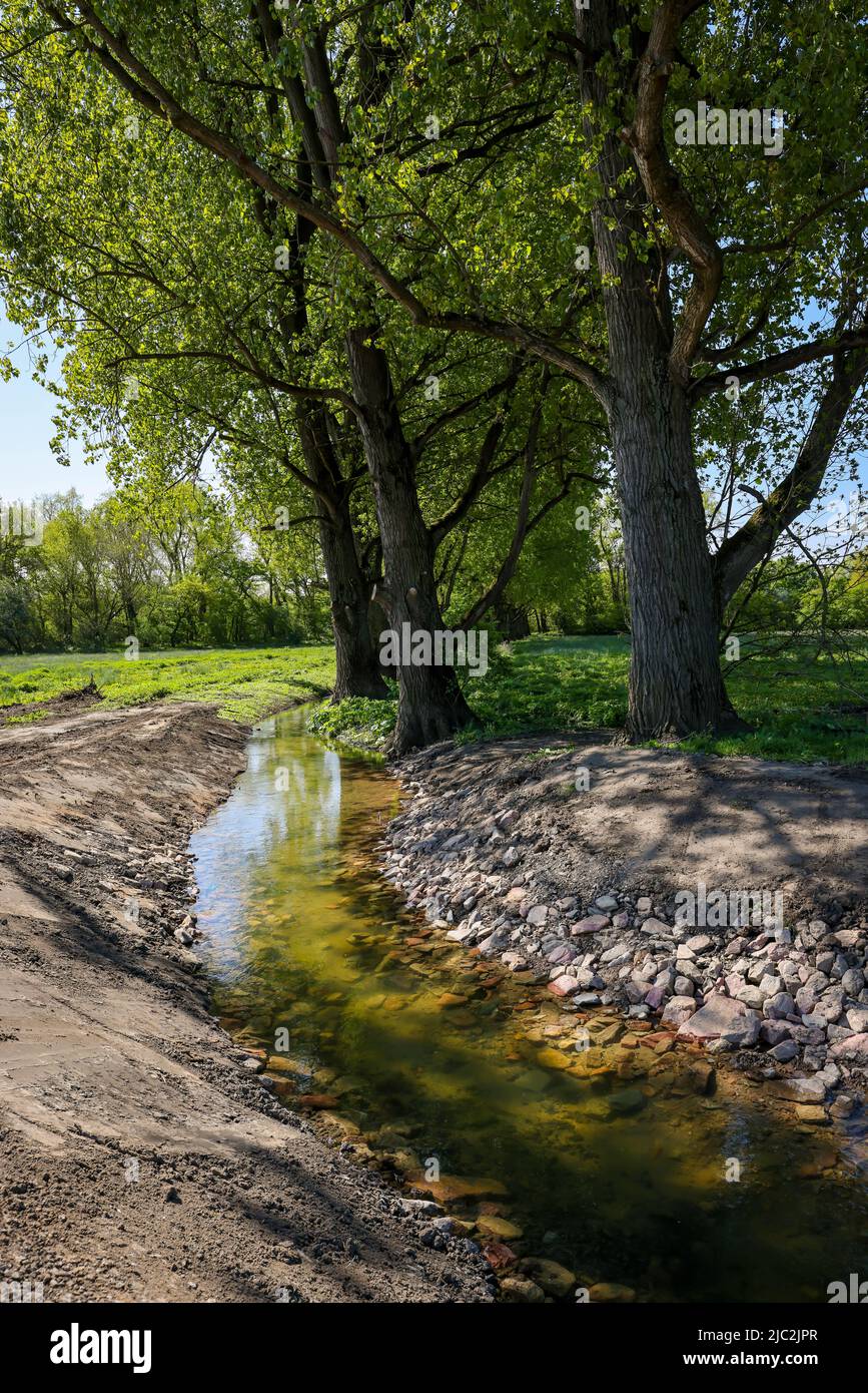 Haltern, Nordrhein-Westfalen, Deutschland - renaturierter, neu gestalteter Gecksbach. Hochwasserschutz an der Lippe. Grundwasser aus dem forel Stockfoto