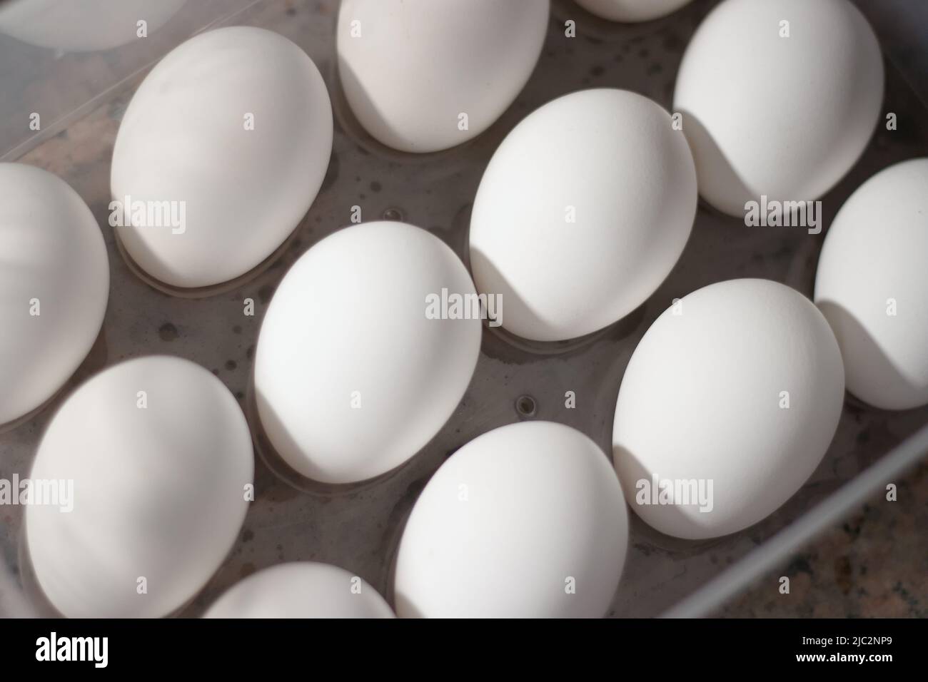 Weiße Eier werden in einer eiertrey-Box aufbewahrt. Nahaufnahme. Stockfoto