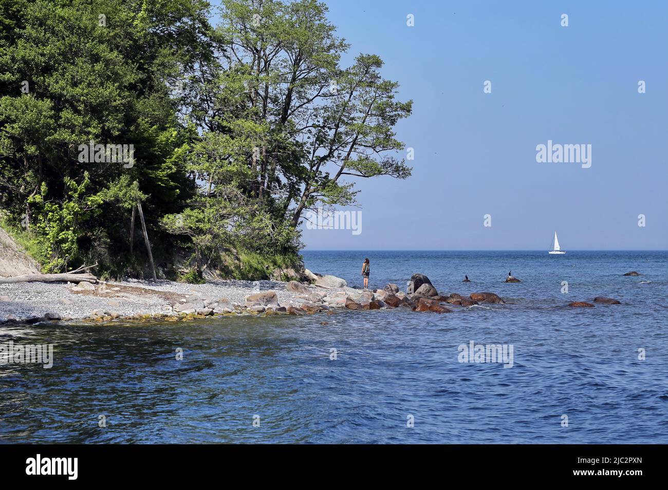Frau und zwei Kormorane am Strand von Rügen, Deutschland, und ein Segelboot in der Ostsee Stockfoto