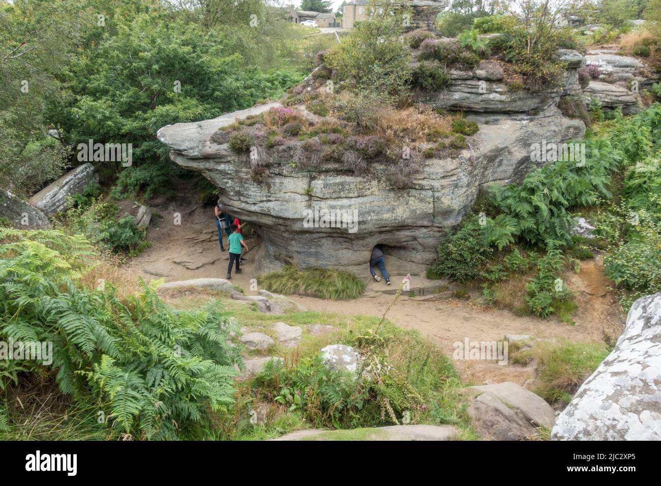 Gesamtansicht eines Teils der Brimham Rocks, in der Nähe von Harrogate, North Yorkshire, Großbritannien. Stockfoto