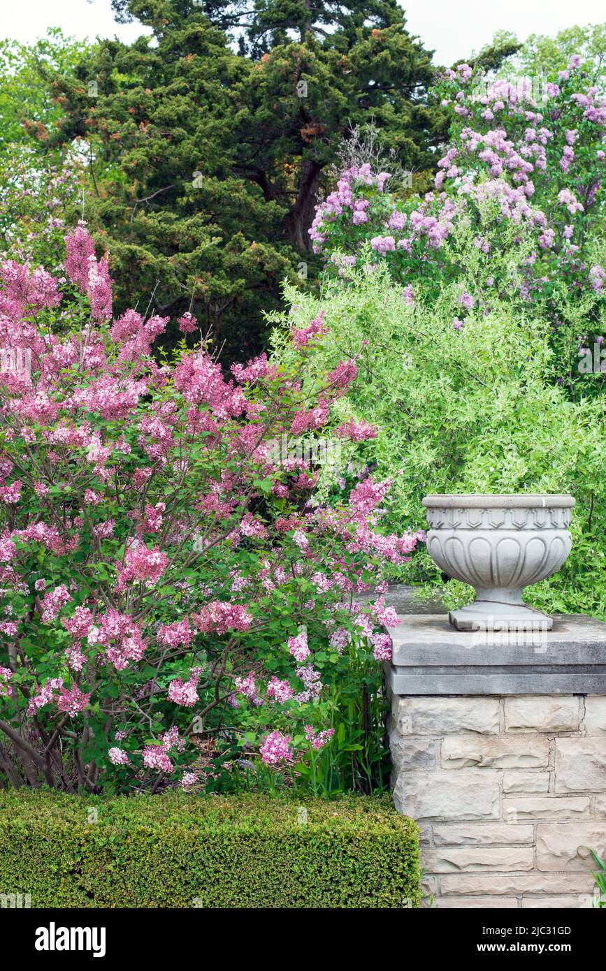 Royal Botanical Gardens Hendrie Park in Burlington, Ontario, Kanada Stockfoto