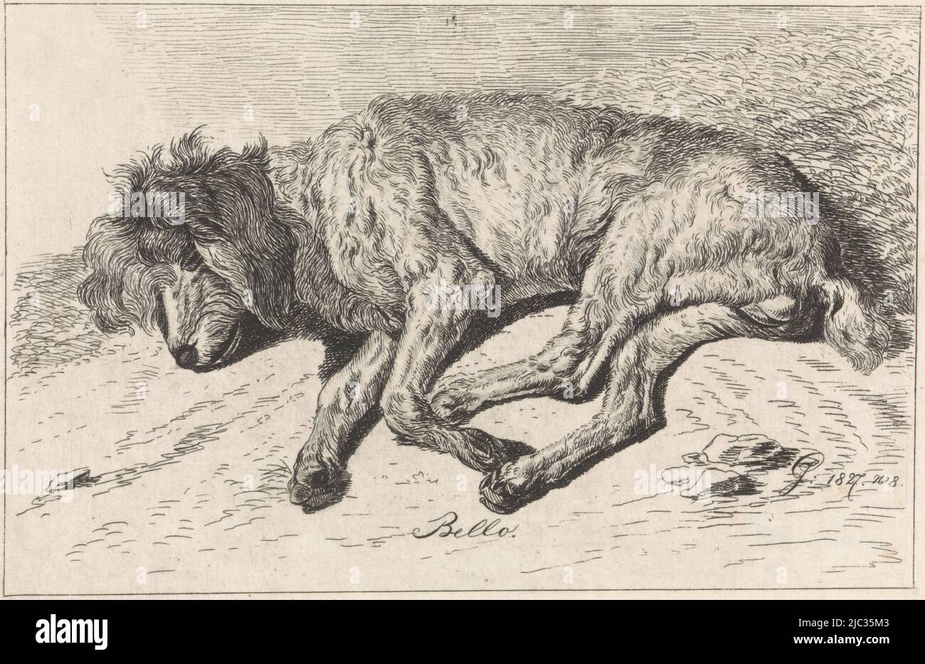Ein schlafender Hund. Der Druck ist rechts im Bild markiert: N 8, schlafender Hund Bello (Titel auf Objekt), Druckerei: George Jooss, (auf Objekt erwähnt), Johannes Mock, 1827, Papier, Ätzung, H 99 mm × B 147 mm Stockfoto