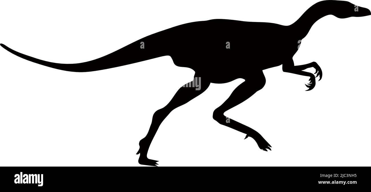 Dinosaurier der Jurassic Periode. Silhouetten verschiedener Dinosaurier. Vektordinosaurier. Stock Vektor