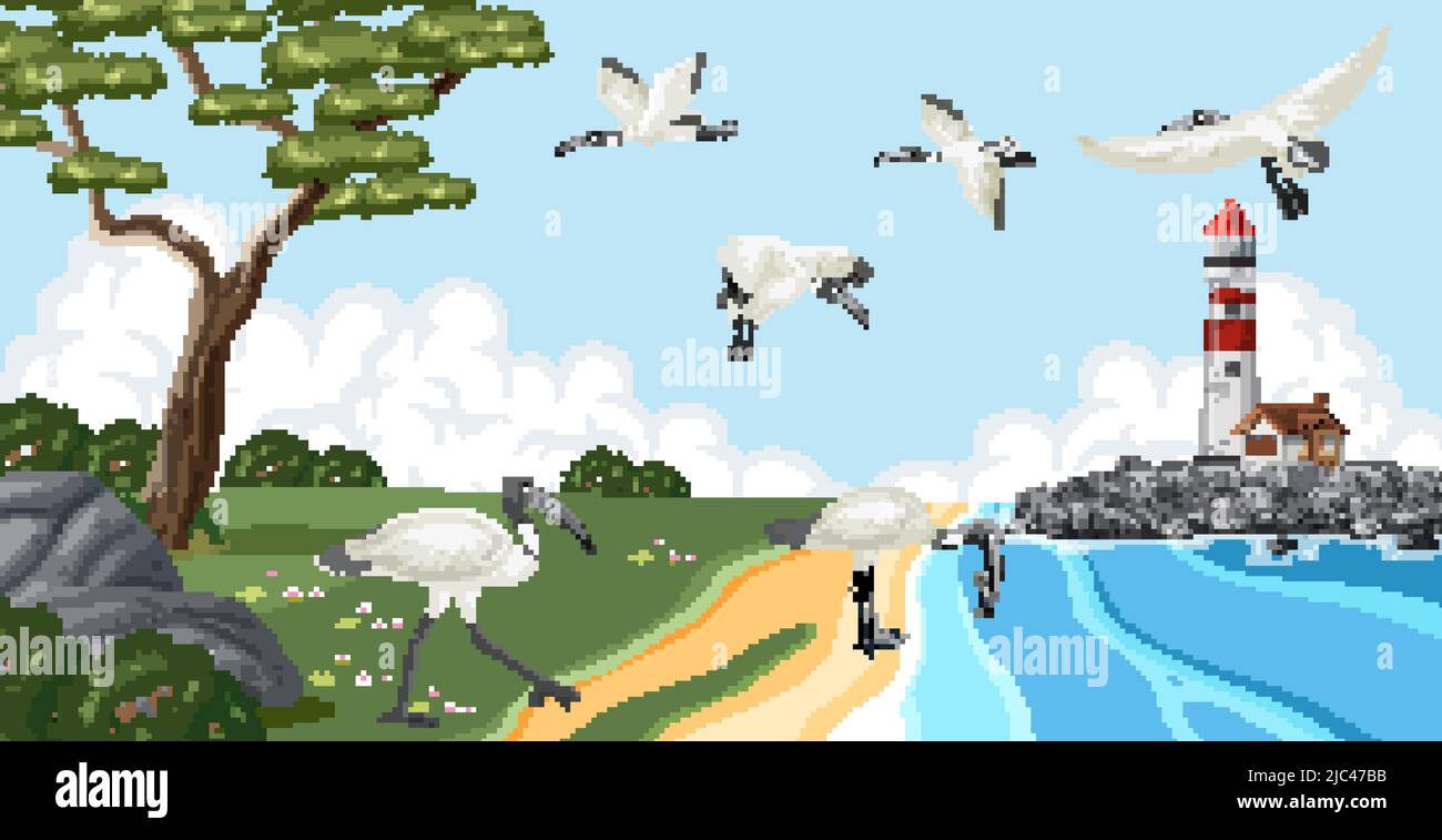 Australische weiße Ibis-Gruppe in Feuchtgebiet Landschaft Illustration Stock Vektor