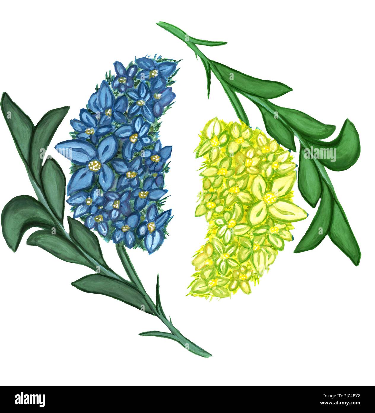 Aquarell Illustration blau und gelb Blumen mit Blättern.isoliert auf weißem Hintergrund.Design für Hochzeitseinladung, Stoff, Verpackung, Textil Stockfoto