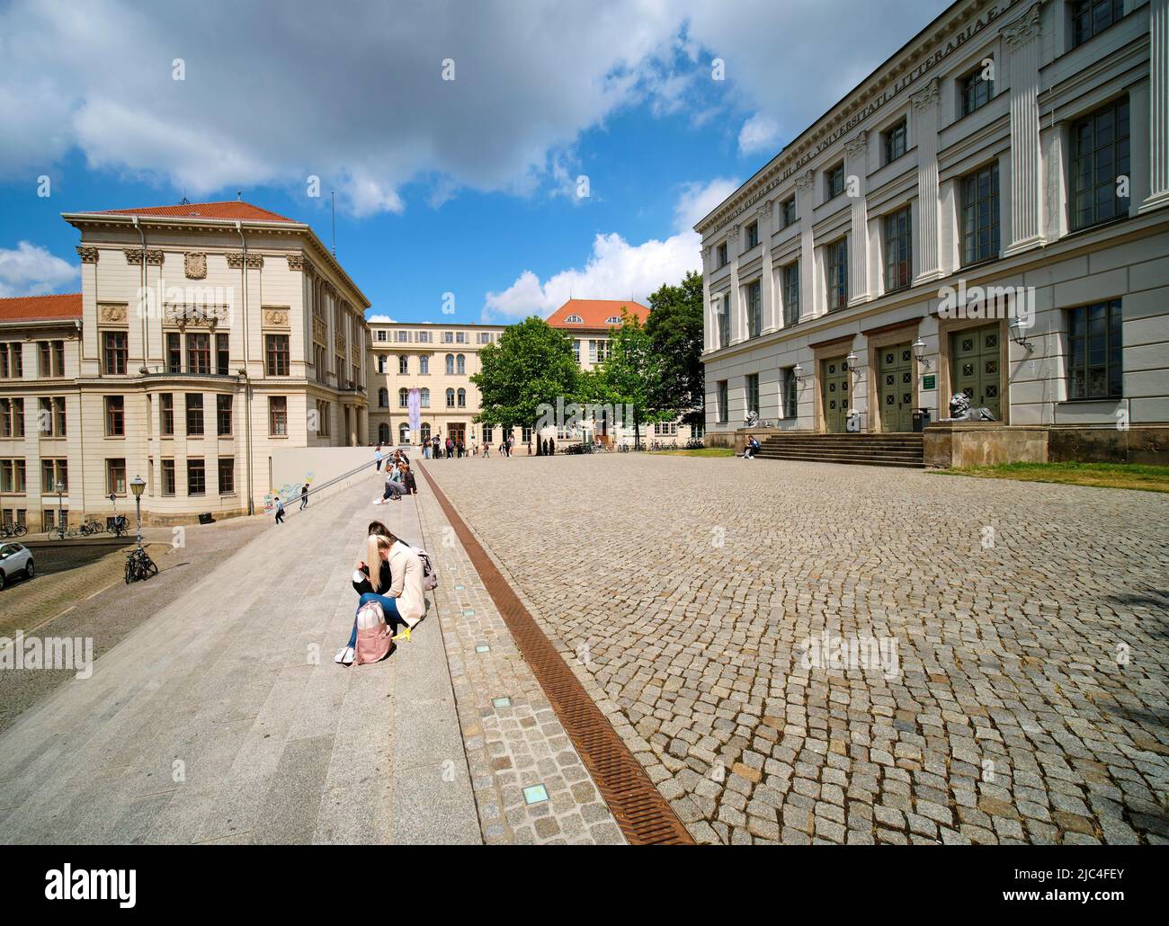 Löwengebäude und Melanchthonianum, Universität Halle-Wittenberg, Universitaetsplatz, Halle an der Saale, Sachsen-Anhalt, Deutschland Stockfoto