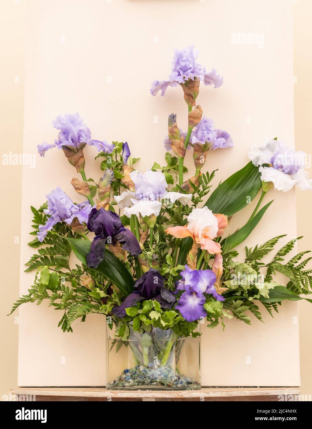 Eine Blumenanordnung aus blauen Iris Stockfoto