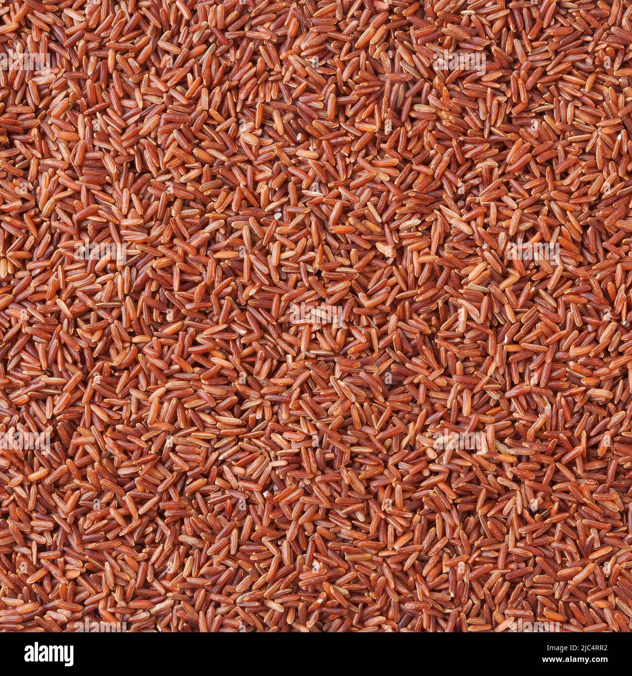 Unbehaart roter Reishintergrund Stockfoto