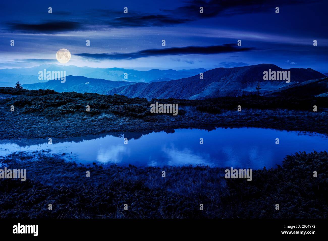 Landschaft mit See im Sommer in der Nacht. Friedliche Reflexion im Wasser. Schöne Reise-Ansicht. Ruhige Natur Hintergrund in Vollmondlicht. Grün Stockfoto