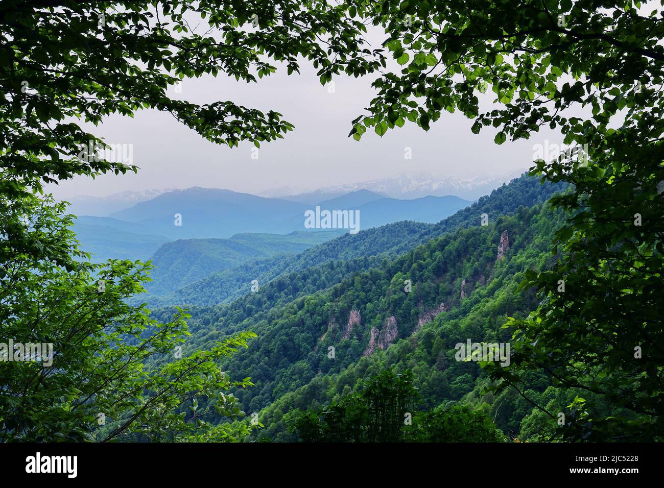 Berge in der Ferne, Felsen und bewaldete Hänge, eingerahmt von Ästen. Selektiver Fokus. Stockfoto