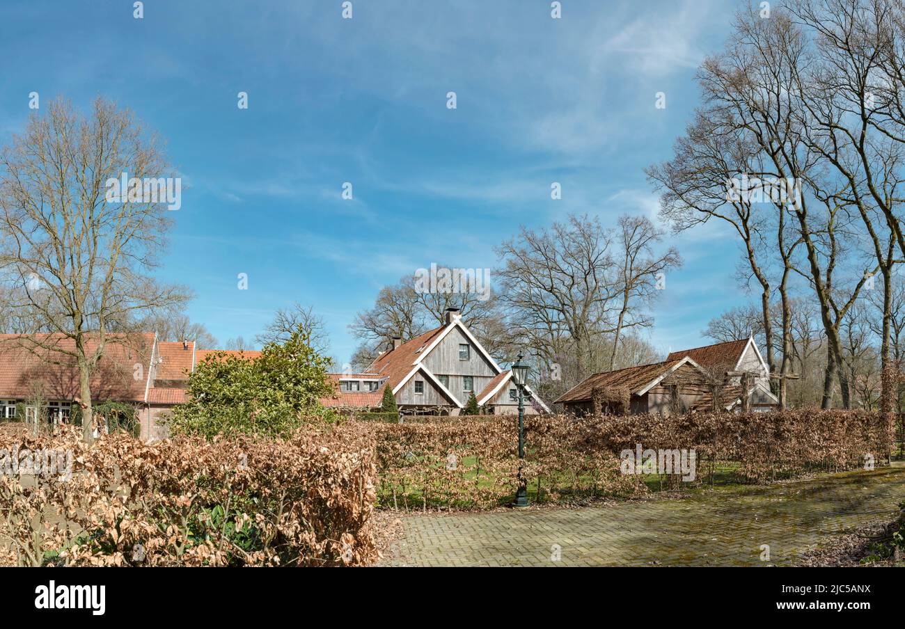 Sachsen type Haus *** Ortsüberschrift *** Niederlande,Haus, Wald, Bäume, Winter, ,Vasse, Overijssel , Niederlande, Haus, Wald, Holz, Baum Stockfoto