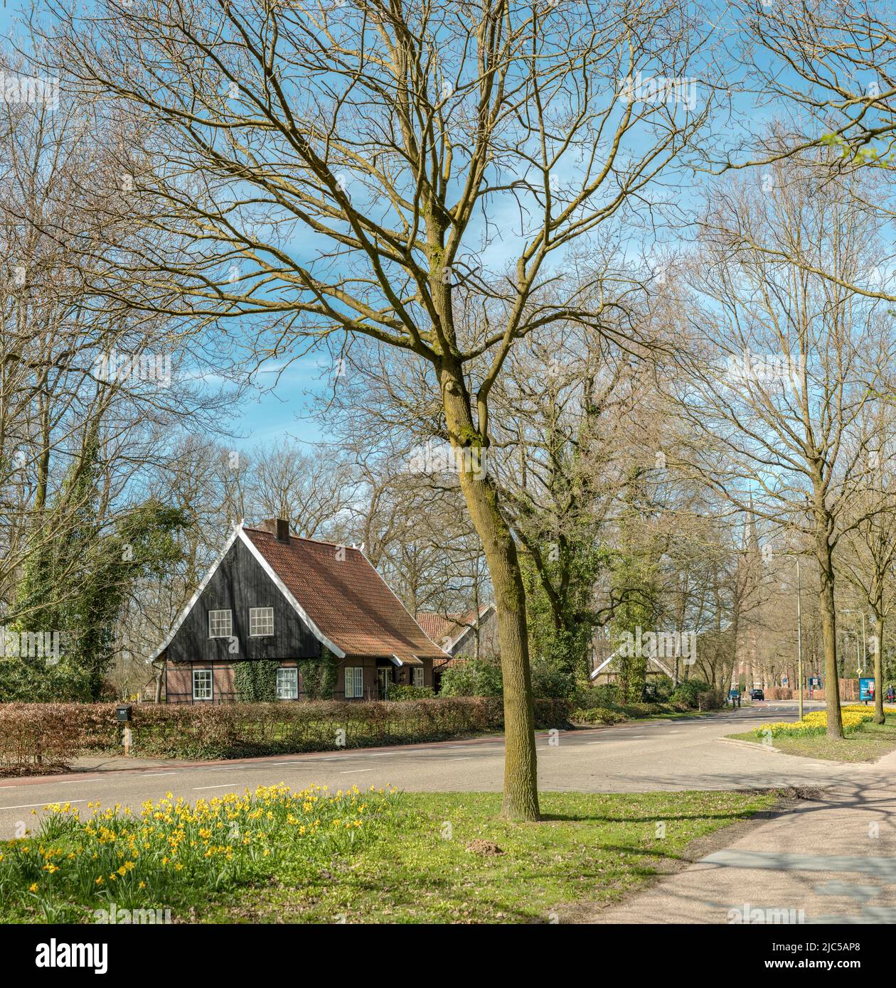 Sachsen type Haus *** Ortsüberschrift *** Niederlande,Haus, Wald, Bäume, Winter, ,Vasse, Overijssel , Niederlande, Haus, Wald, Holz, Baum Stockfoto