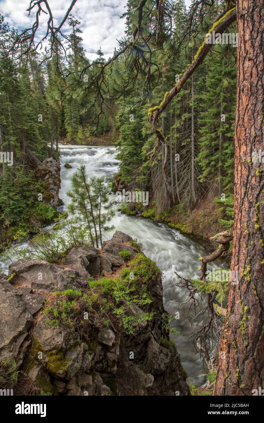 USA, Oregon,Central, Deschutes County, National Forest, Bend, Benham Falls *** Local Caption *** USA, Oregon, Central, Deschutes County, National for Stockfoto