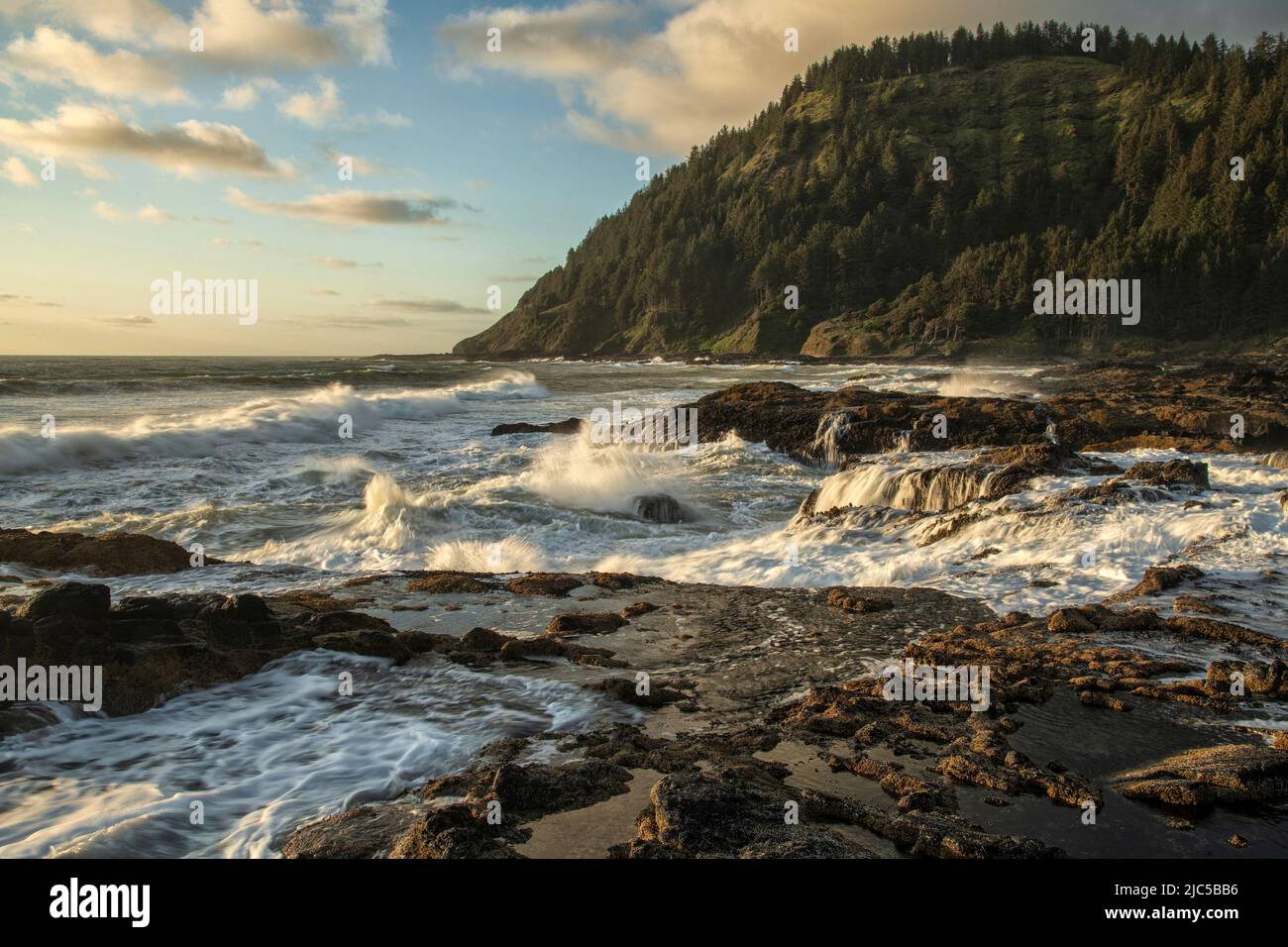 USA, Oregon Coast, Oregon, Lincoln County, Yachats, Cape Perpetua Scenic Area, Thor's Well, *** Local Caption *** USA, Oregon Coast, Oregon, Lincoln Stockfoto