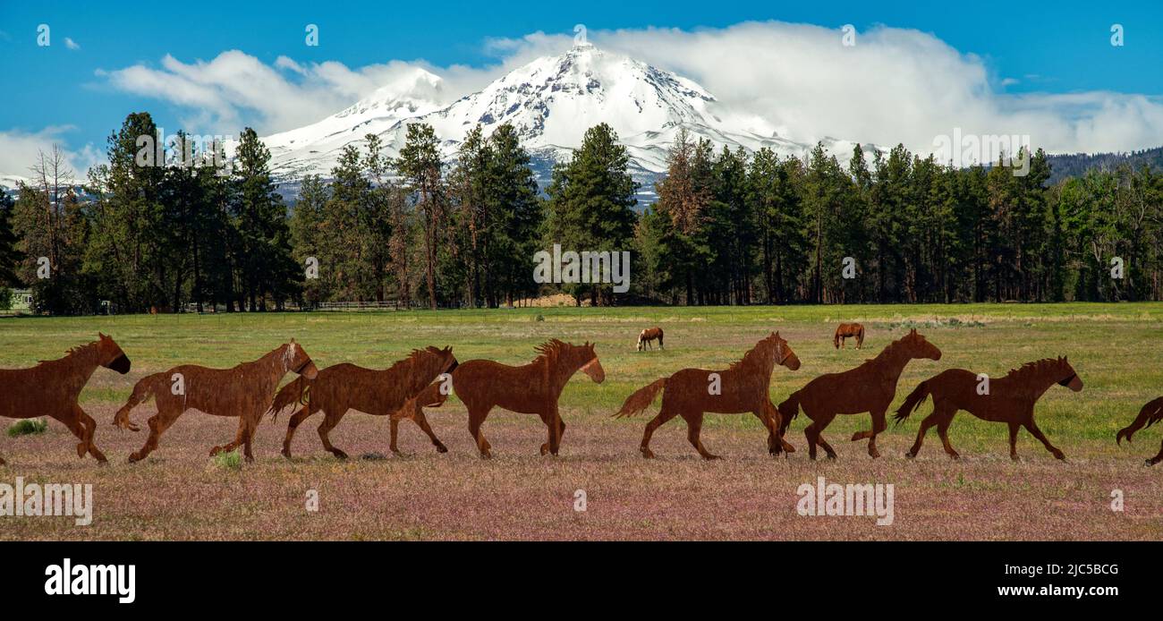 USA, Oregon, Deschutes National Forest, Three Sisters, Sisters, Pferdeskulptur *** Ortsüberschrift *** USA, Oregon, Deschutes National Forest, Three S Stockfoto