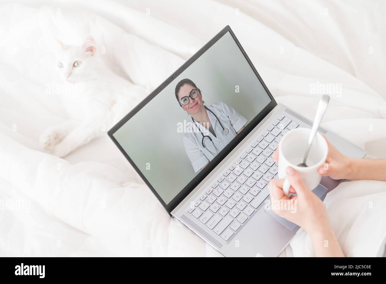 Eine gesichtslose Frau mit Erkältung liegt mit einer Katze im Bett und schaut sich ein Video von einer Arztempfehlung an. Online-Arztbefragung auf einer Webcam ohne Stockfoto