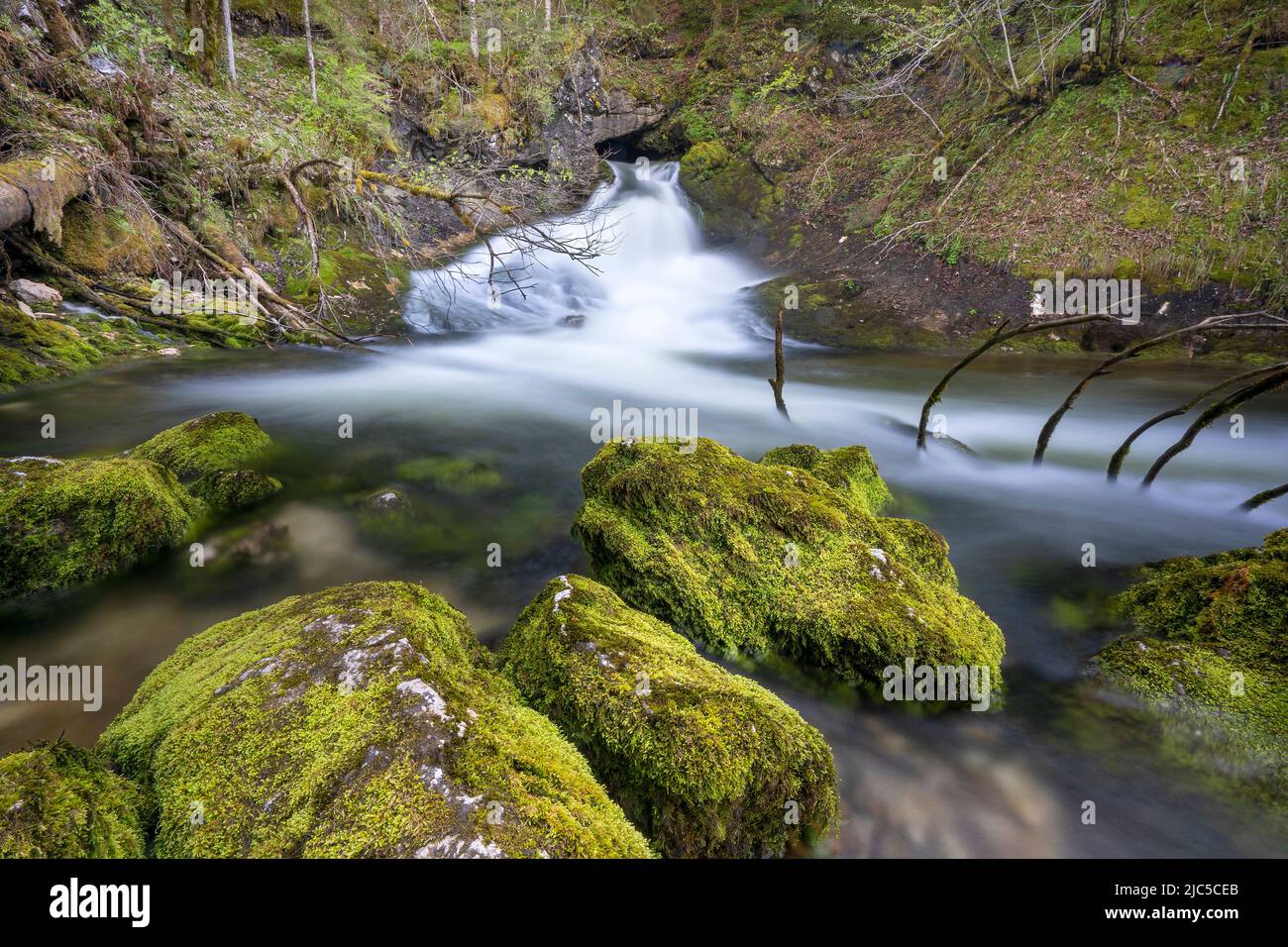 Das Schwarzbachloch am Fuß der Reiter Alpe - Ramsau - Berchtesgaden der Schwarzbach ist ein etwa 6 Kilometer langer, rechter Zufluss der Saalach im B Stockfoto