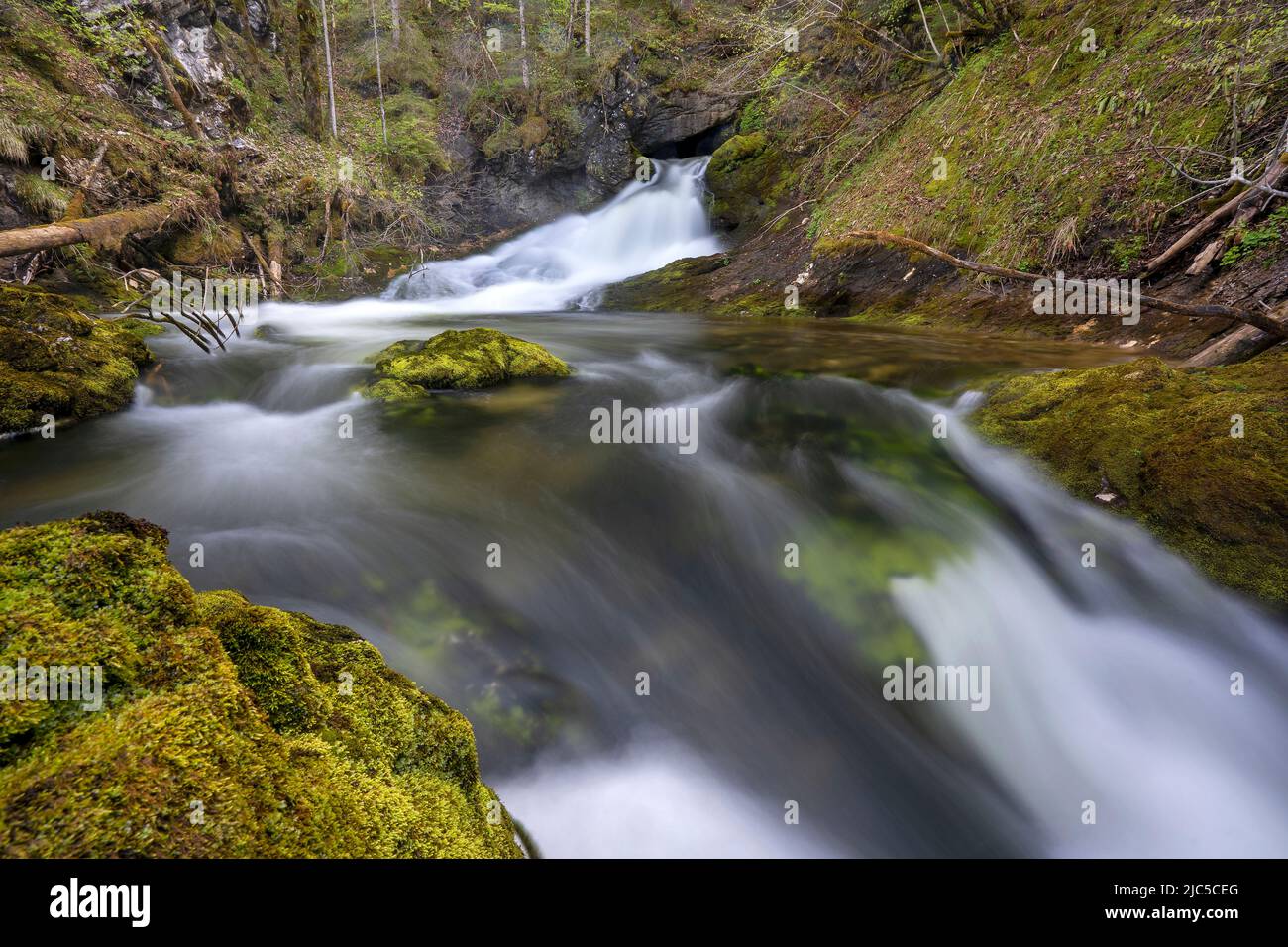 Das Schwarzbachloch am Fuß der Reiter Alpe - Ramsau - Berchtesgaden der Schwarzbach ist ein etwa 6 Kilometer langer, rechter Zufluss der Saalach im B Stockfoto