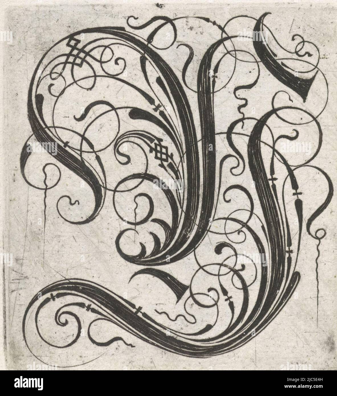 Aus einer Serie von 24 gotischen Buchstaben mit Flechten: A-I, K-T und V-z., Buchstabe Y Alphabet (Serientitel), Druckerei: Anonym, anonym, Verlag: Anonym, Niederlande, (Möglicherweise), c. 1600 - c. 1699, Papier, Gravur, H 55 mm - B 53 mm Stockfoto