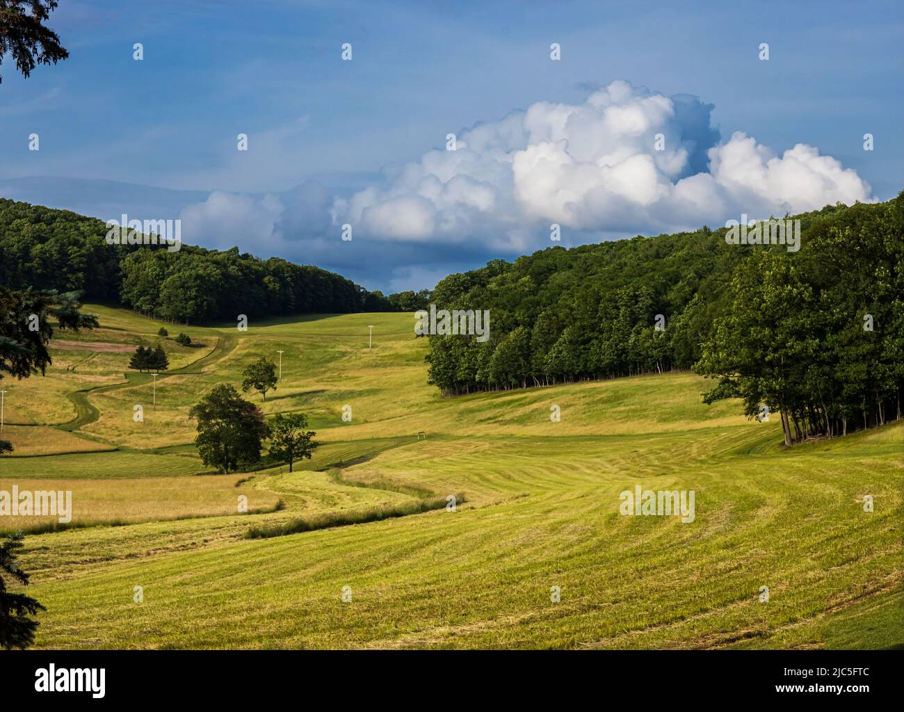 Ein hinter dem Land grasbewachsenes Feld mit üppig grünen Bäumen gefüllten Hügel im Hintergrund unter einem blau bewölkten Himmel über, Tunkhannock, Pennsylvania Stockfoto