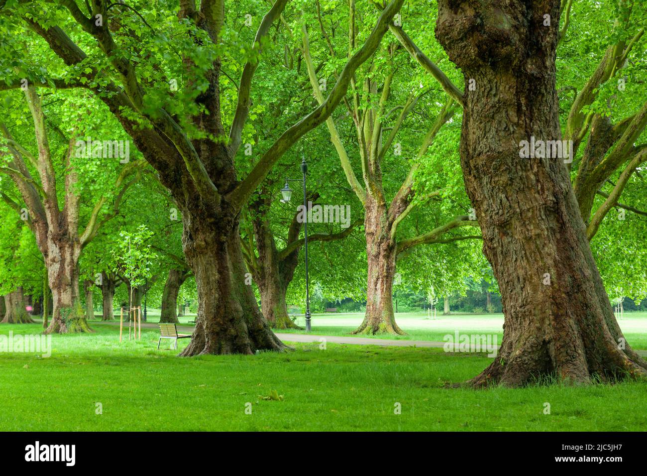 Jesus Green in Cambridge, England. Stockfoto