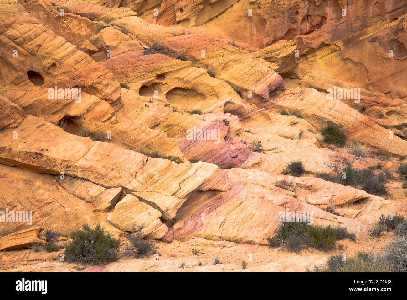 Farbenfrohe Felsformationen im Valley of Fire State Park, Nevada, USA Stockfoto