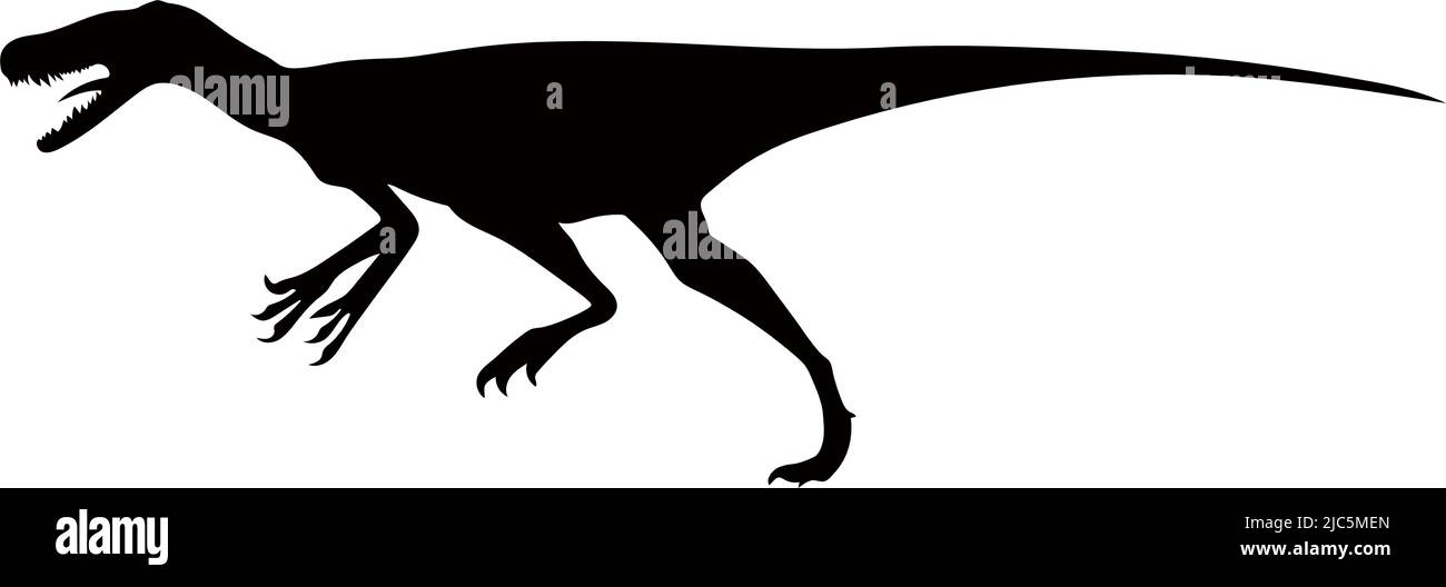 Dinosaurier der Jurassic Periode. Silhouetten verschiedener Dinosaurier. Vektordinosaurier. Stock Vektor