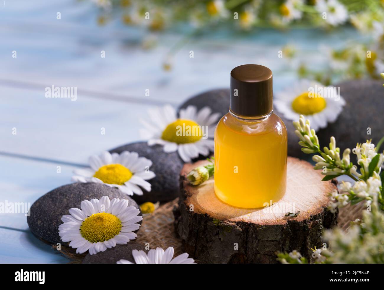 Aromaöl mit Kamille. Kamillenölflasche mit Gänseblümchen auf Holztisch. Stockfoto