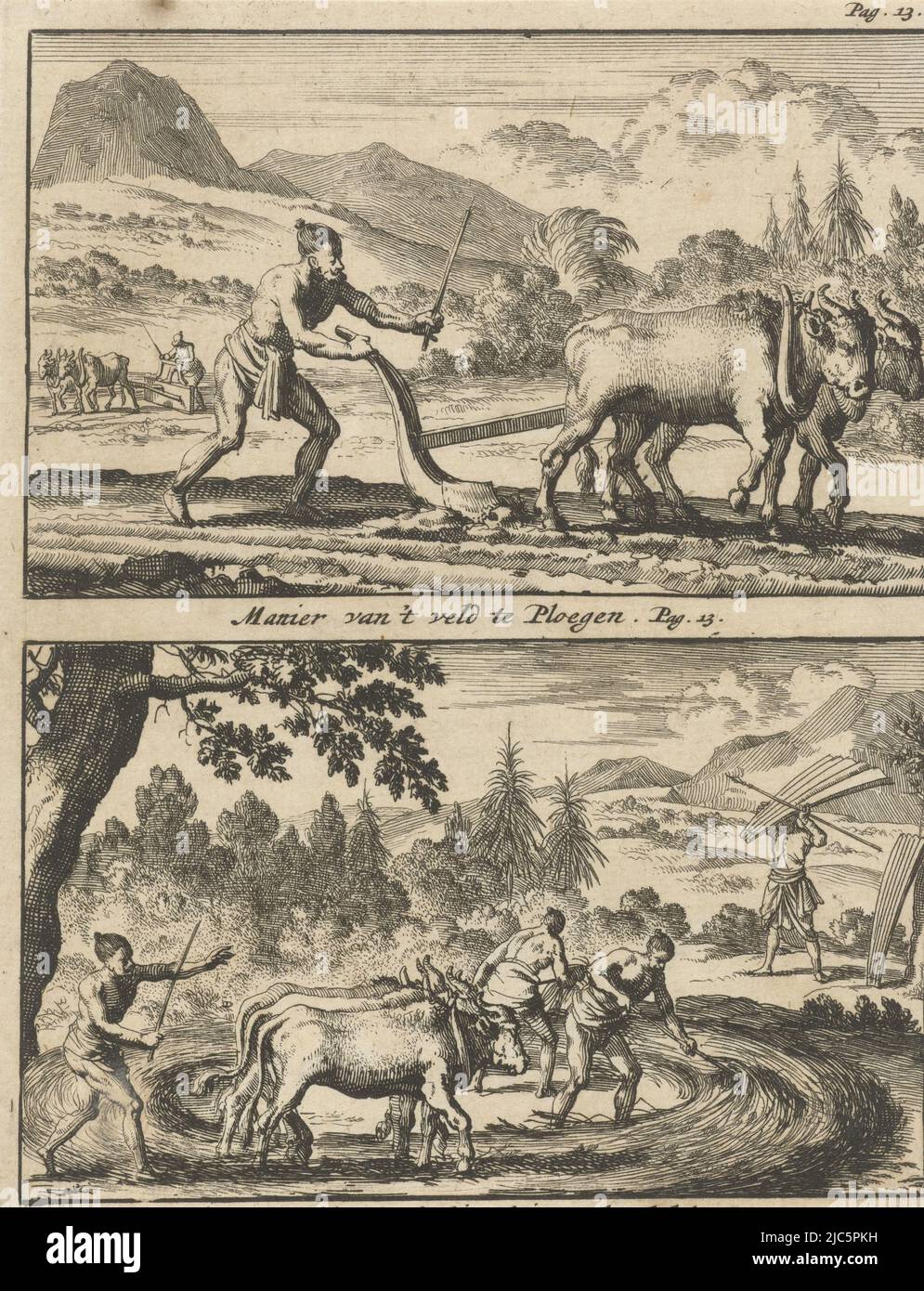 Zwei Darstellungen einer Platte. Drucken markiert oben rechts: Pag. 13., Pflüger / Dreschbauern Way of 't veld te Ploegen / Way of Dorschen , Druckerei: Jan Luyken, Verlag: Willem Broedelet, Druckerei: Amsterdam, Verlag: Utrecht, 1692, Papier, Radierung, H 170 mm × B 129 mm Stockfoto