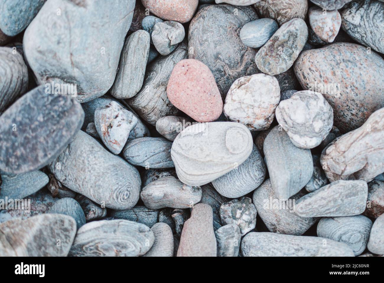 Details von Kieselsteinen am Strand von Muchalls in Aberdeenshire, Schottland Stockfoto