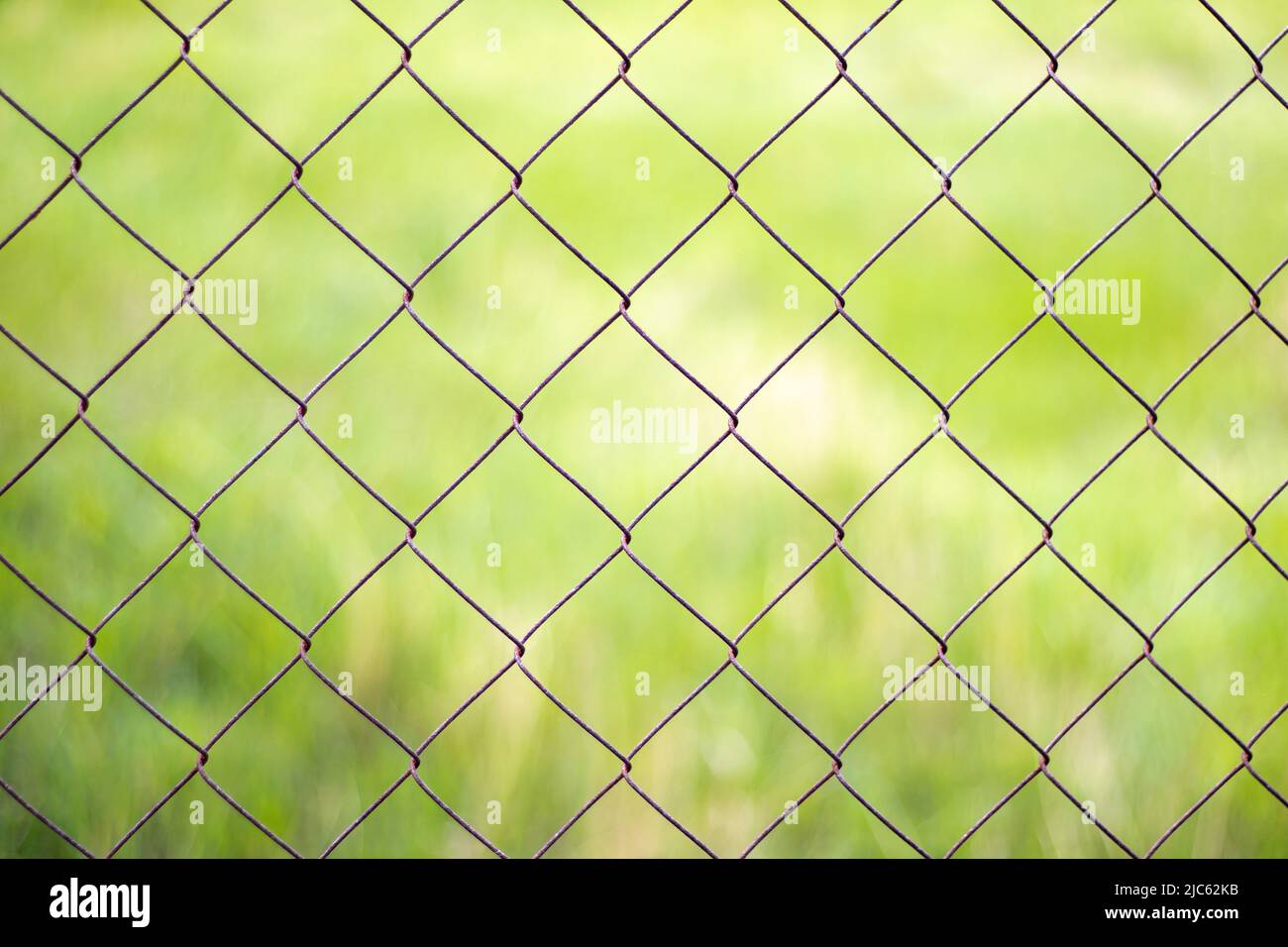 Gitterkäfig im Garten mit grünem Gras als Hintergrund. Metallzaun mit Drahtgeflecht. Verschwommener Blick auf die Landschaft durch ein Stahlgittermetall fe Stockfoto