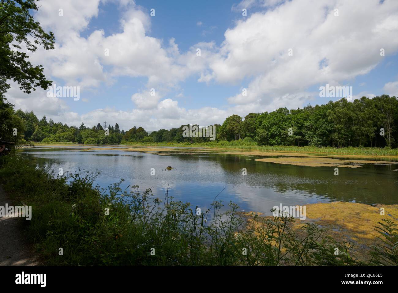 Newton Abbot, Großbritannien. 10.. Juni 2022. UK Wetter: 10 Jun 2022. Teilweise bewölkt, Newton Abbot, Devon, Großbritannien Credit: Will Tudor/Alamy Live News Stockfoto