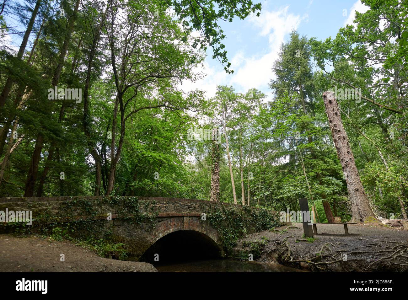 Newton Abbot, Großbritannien. 10.. Juni 2022. UK Wetter: 10 Jun 2022. Teilweise bewölkt, Newton Abbot, Devon, Großbritannien Credit: Will Tudor/Alamy Live News Stockfoto