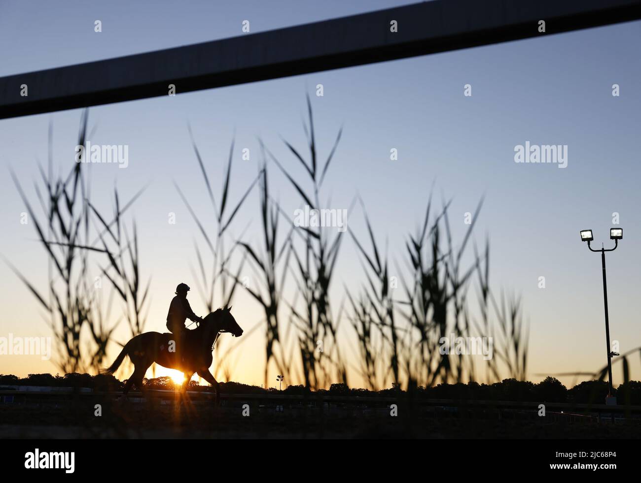 Elmont, Usa. 10.. Juni 2022. Die Pferde gehen einen Tag vor dem Belmont Stakes Lauf 154. in Elmont, New York, am Freitag, den 10. Juni 2022, auf einer Übungsstrecke bei Sonnenaufgang. Foto von John Angelillo/UPI Credit: UPI/Alamy Live News Stockfoto