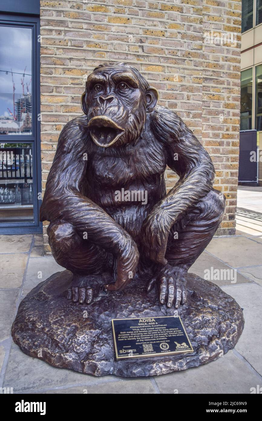 London, Großbritannien. 10.. Juni 2022. „Chimps are Family“ ist eine kostenlose öffentliche Kunstausstellung, die unsere engsten Cousins feiert, das Bewusstsein für ihre Notlage schärft und deren Erhaltung fördern soll. 28 Bronzeskulpturen von Schimpansen wurden von Gillie und Marc geschaffen und um die London Bridge und die Tower Bridge herum aufgestellt, wobei der WWF als Partner tätig war. Kredit: Vuk Valcic/Alamy Live Nachrichten Stockfoto