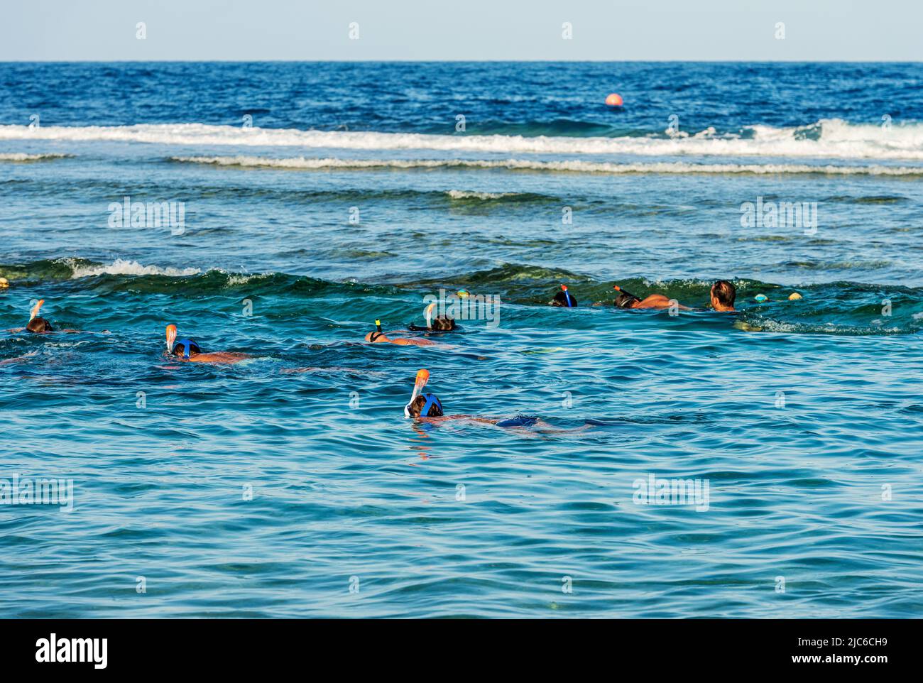 Eine Gruppe von Menschen schnorcheln über dem Korallenriff im Roten Meer in der Nähe von Marsa Alam, Ägypten, Afrika. Stockfoto