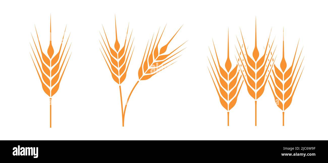 Symbol für reife Weizen- oder Getreideernte Landwirtschaft Vektor Illustration Symbol Stock Vektor