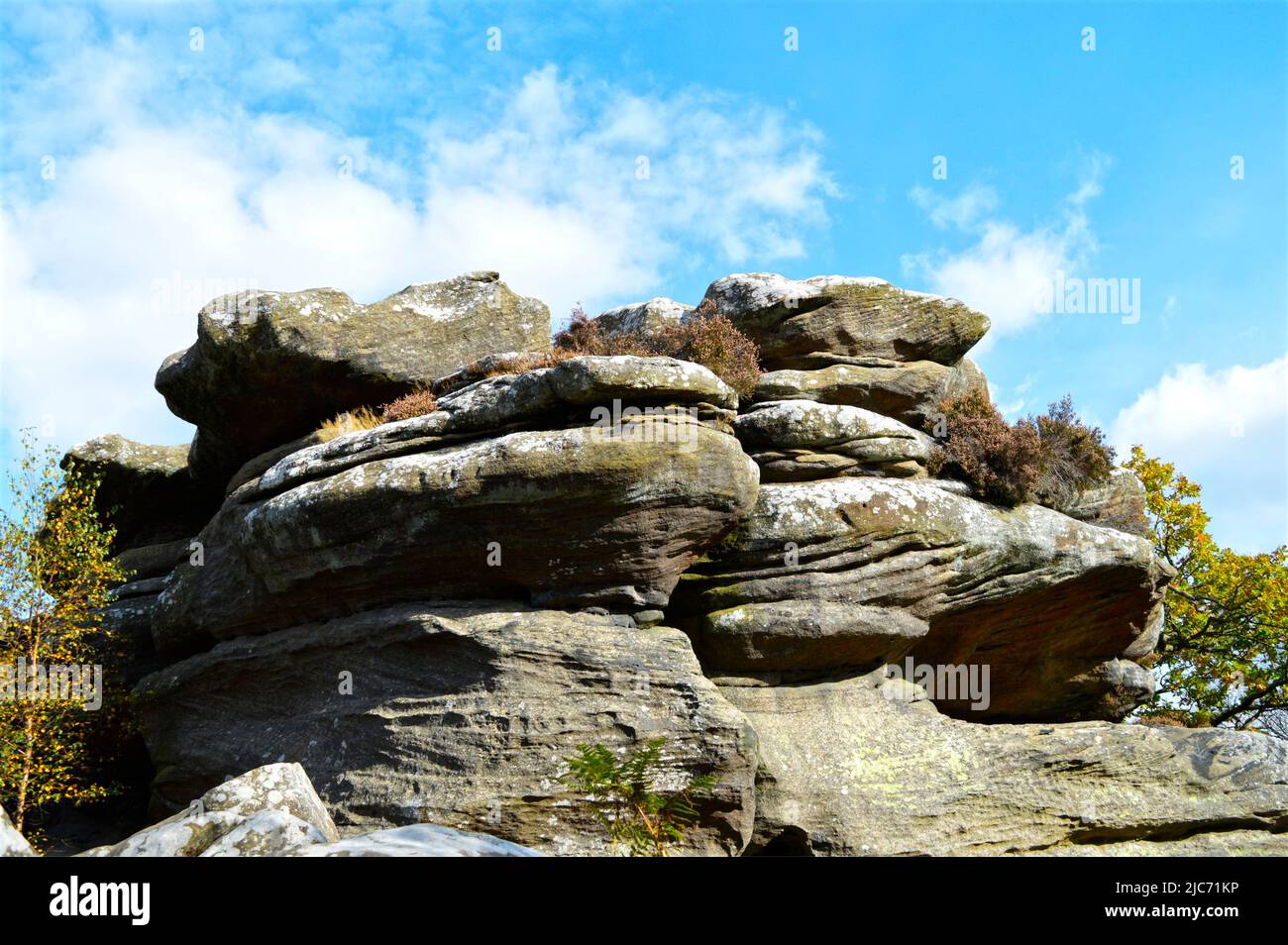 Bingham Rocks ist ein Standort von besonderem wissenschaftlichem Interesse, der vor über 325 Millionen Jahren in Harrogate North Yorkshire UK gegründet wurde Stockfoto