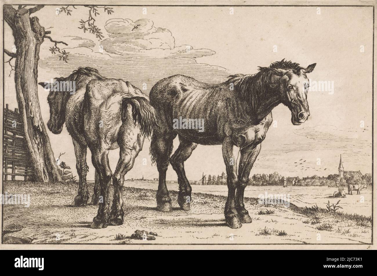 Zwei Arbeitspferde stehen in der Nähe eines Baumes in einer Landschaft. Nummeriert unten rechts: 5. Zwei Pflug Pferde Pferde , Paulus Potter, Druckerei: Anonym, Niederlande, 1652 - 1702, Papier, Radierung, H 142 mm × B 216 mm Stockfoto