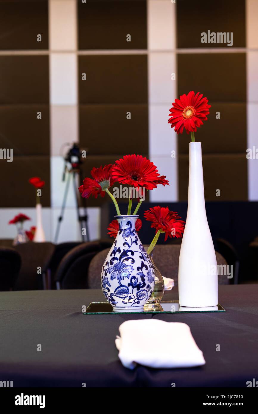 Leuchtend rote Gänseblümchen in einer blau-weißen Vase. Tabelleneinstellung Stockfoto