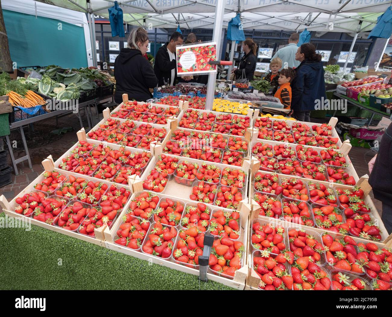 Erdbeeren Marktstand UK; Erdbeeren zum Verkauf an einem Obstmarkt Stand, Ely Markt, Ely Cambridgeshire UK Stockfoto