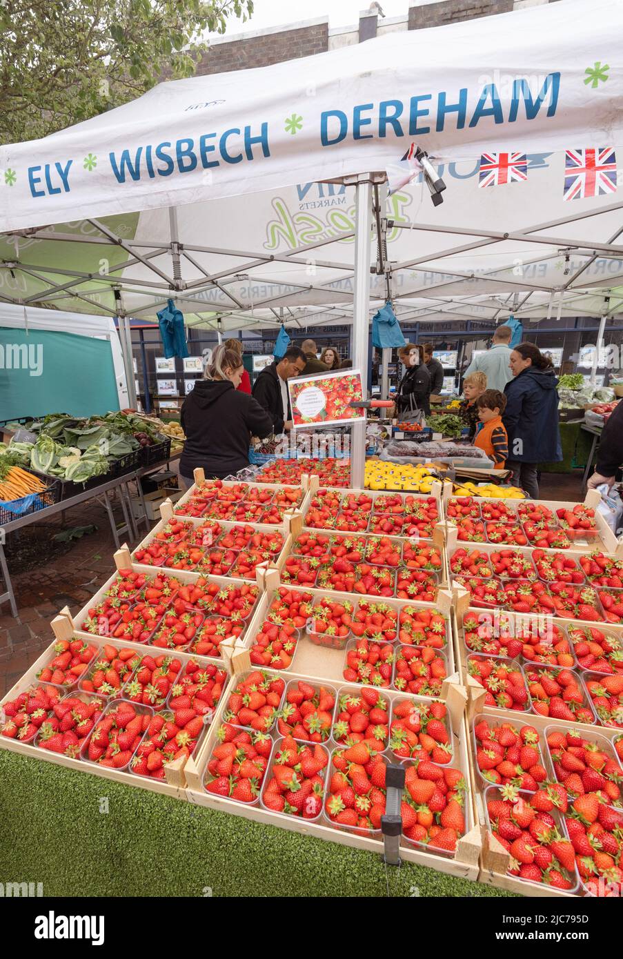 Erdbeerstand UK; Erdbeeren zum Verkauf an einem Obstmarkt, Ely Market, Ely Cambridgeshire England UK Stockfoto