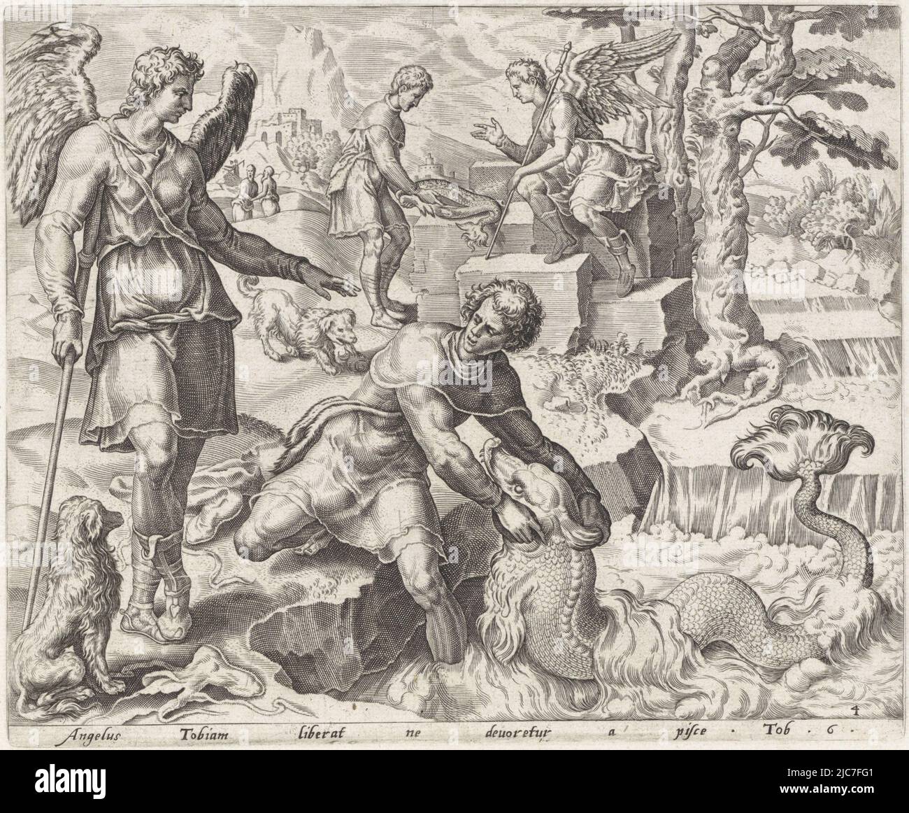 Der Erzengel Raphael befiehlt Tobias, die Fische aus dem Fluss Tigris zu holen. In der Nähe von Raphael steht Tobias Hund. Im Hintergrund schneidet Tobias die Fische auf, um Herz, Leber und Galle zu entfernen. Unten am Rand eine einzeilige lateinische Beschriftung aus Tobit 6. Tobias fängt die Fischgeschichte von Tobias , Druckerei: Anonym, Druckerei: Cornelis Cort, (zugeschrieben), Maarten van Heemskerck, Druckerei: Low Countries, Verlag: Antwerpen, Verlag: Antwerpen, 1556 - 1633, Papier, Gravur, H 200 mm × B 243 mm Stockfoto