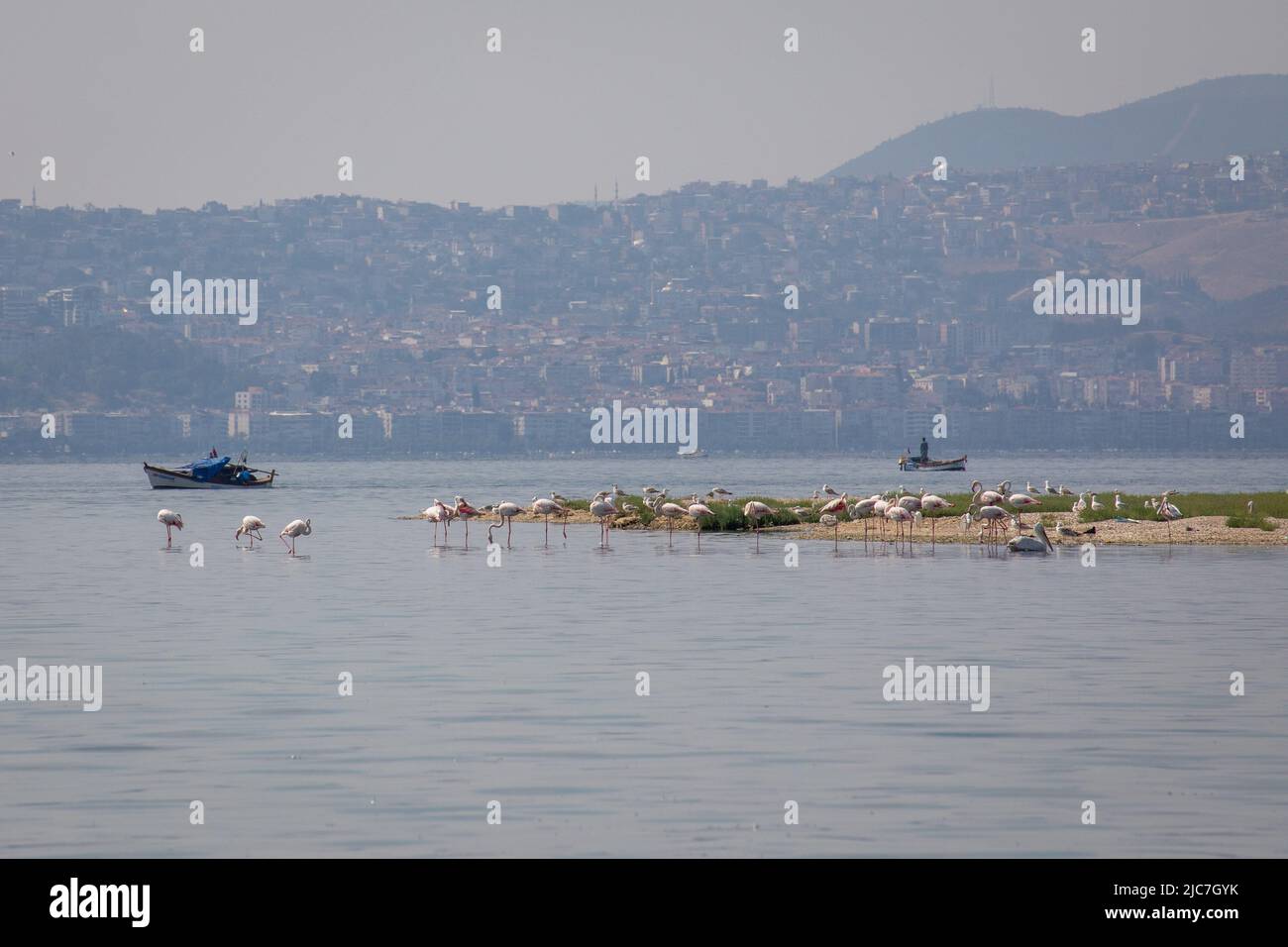 9. Juni 2022: Flamingo und andere Reihervögel mit Blick auf die Stadt im Hintergrund vom Vogelparadies im Gediz-Delta, einem ausgedehnten Feuchtgebiet, das an der Westküste der Izmir-Bucht entstand, wo der Gediz-Fluss am 9. Juni 2022 mit der Ägäis in der Türkei zusammentrifft. Das Delta, das als Ramsar-Gebiet, Wildlife Protection Area und Natural Protected Area zum Schutz qualifiziert ist, beherbergt rund 300 Vogelarten und wurde zum UNESCO-Weltkulturerbe ernannt. (Bild: © Tolga Ildun/ZUMA Press Wire) Stockfoto